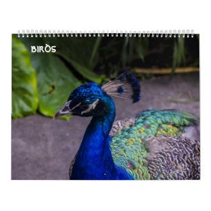 鳥のカレンダー カレンダー