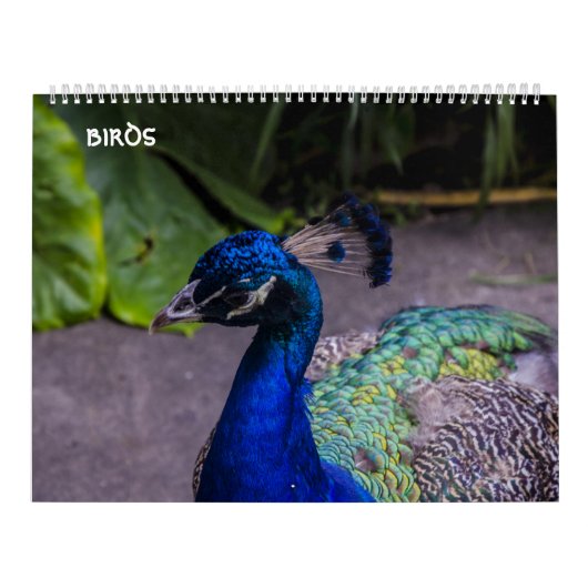鳥のカレンダー カレンダー (カバー)