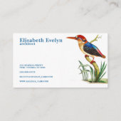 鳥のキングフィッシャーヴィンテージアート 名刺 (裏面)