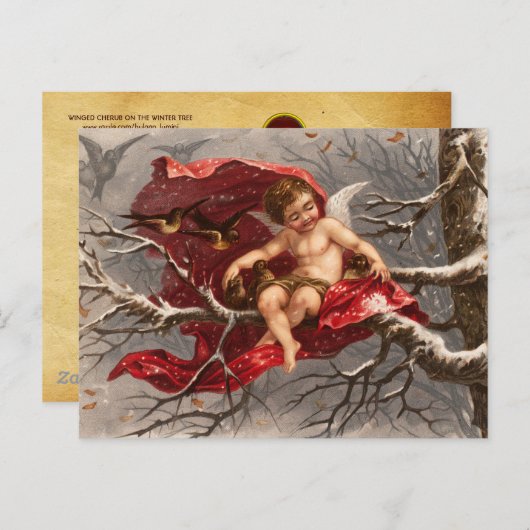 鳥のクリスマスと冬の木の翼のあるケルブ ポストカード (正面/裏面)