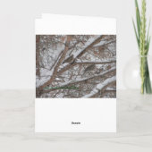 鳥のクリスマスの避難所 シーズンカード (裏面)