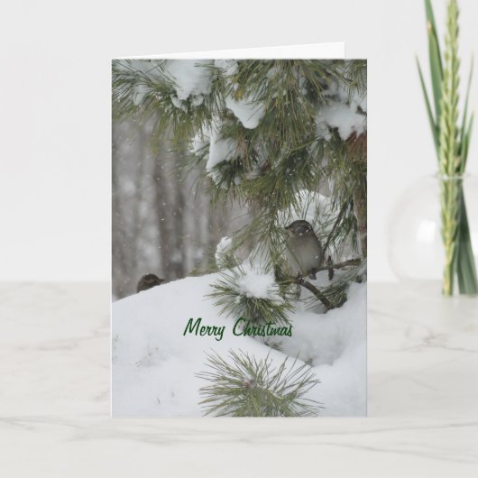 鳥のクリスマスの避難所 シーズンカード (正面)