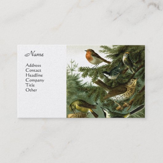 鳥のグループ3 名刺 (正面)