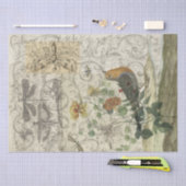 鳥のコラージュ 薄葉紙 (クラフト)