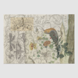 鳥のコラージュ 薄葉紙