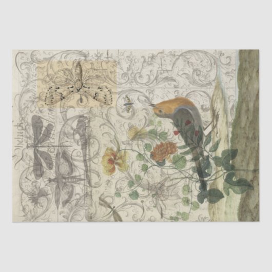 鳥のコラージュ 薄葉紙 (正面)