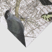 鳥のコラージュ 薄葉紙 (詳細)