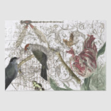 鳥のコラージュ