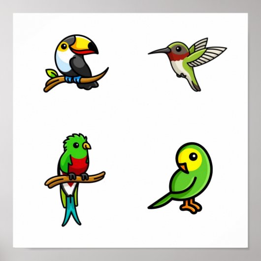 鳥のコレクション ポスター (正面)