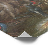 鳥のコンサート – Jan van Kesselファインアートポスター ポスター (角)