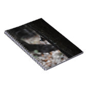 鳥のノート ノートブック (右側)