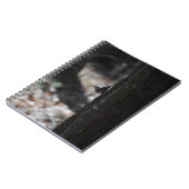 鳥のノート ノートブック (左側)