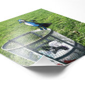 鳥のハイブリッドごみ箱フォトプリント フォトプリント (角)