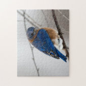 鳥のパズル鳥の写真最高の野生動物の写真 ジグソーパズル (縦)