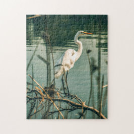 鳥のパズル鳥の写真最高の野生動物の写真 ジグソーパズル