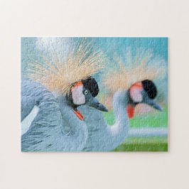 鳥のパズル鳥の写真最高の野生動物の写真 ジグソーパズル