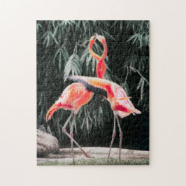 鳥のパズル鳥の写真最高の野生動物の写真 ジグソーパズル