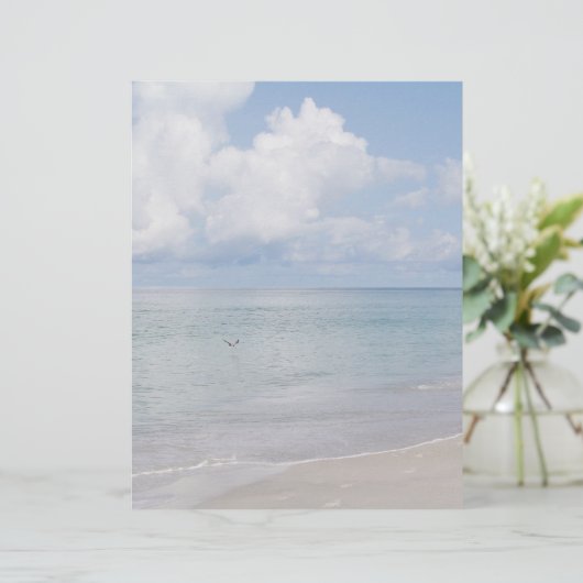 鳥のビーチ固定 (スタンド正面)