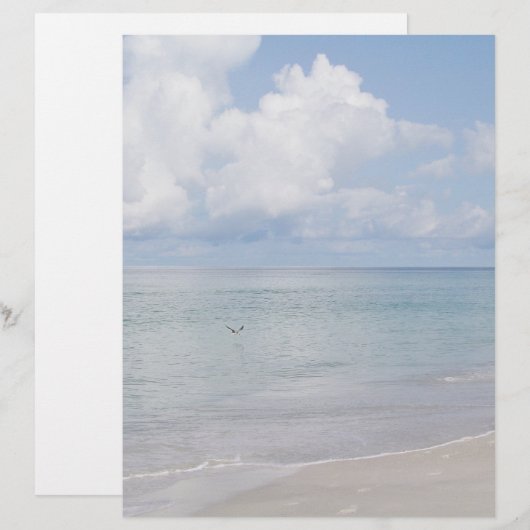 鳥のビーチ固定 (正面/裏面)