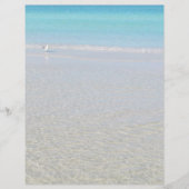 鳥のビーチ固定 (正面)