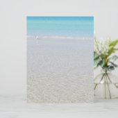 鳥のビーチ固定 (スタンド正面)