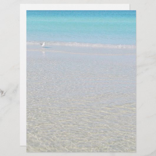 鳥のビーチ固定 (正面/裏面)