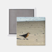 鳥のフォトマグネット マグネット (正面/裏面)