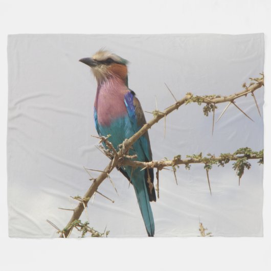 鳥のフリースブランケット フリースブランケット (正面(横))
