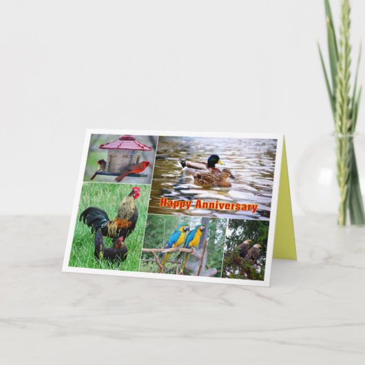 鳥のペアのコラージュ ハッピーアニバーサリー カード (正面)