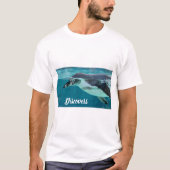 鳥のペンギンが発見 Tシャツ (正面)