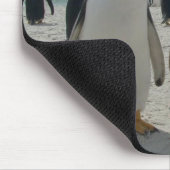 鳥のマウスパッド19 マウスパッド (コーナー)