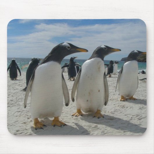 鳥のマウスパッド19 マウスパッド (正面)