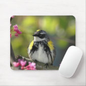 鳥のマウスパッド6 マウスパッド (マウス)