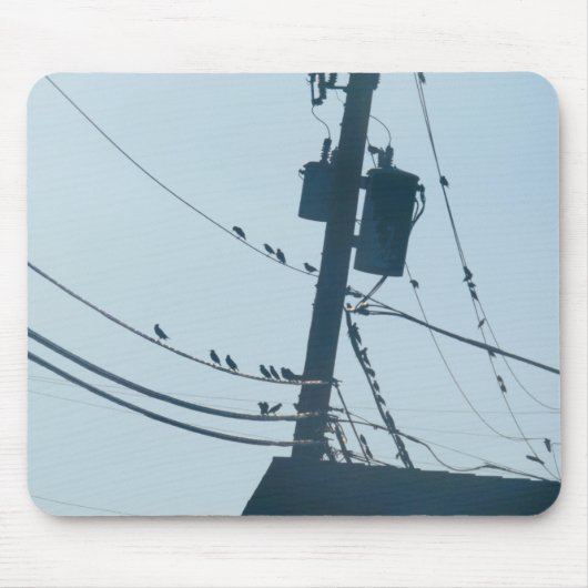 鳥のマウスパッド マウスパッド (正面)