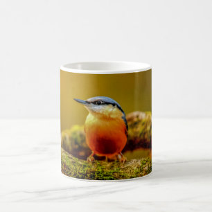 鳥のマグ-精神病院 コーヒーマグカップ