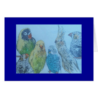 鳥のメドレー