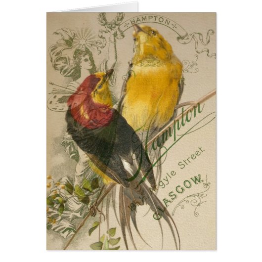 鳥のヴィンテージ写真の戻り (正面)