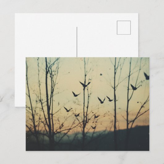 鳥の二重露出 ポストカード (正面/裏面)