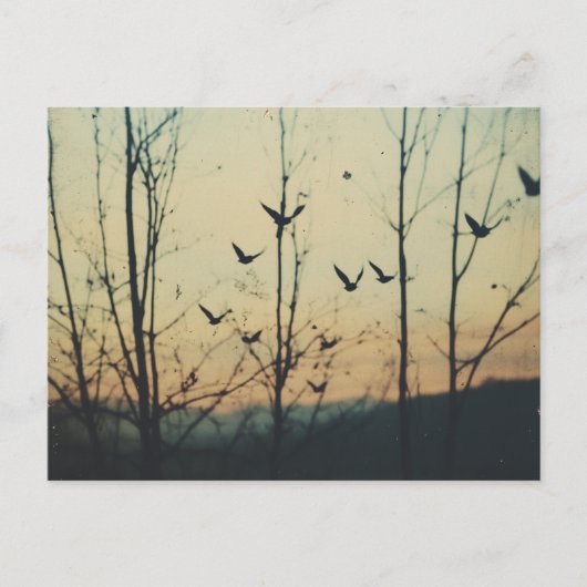 鳥の二重露出 ポストカード (正面)