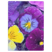 鳥の入った水浴びに浮かぶパンジーの花と露 2 クリップボード (裏面)