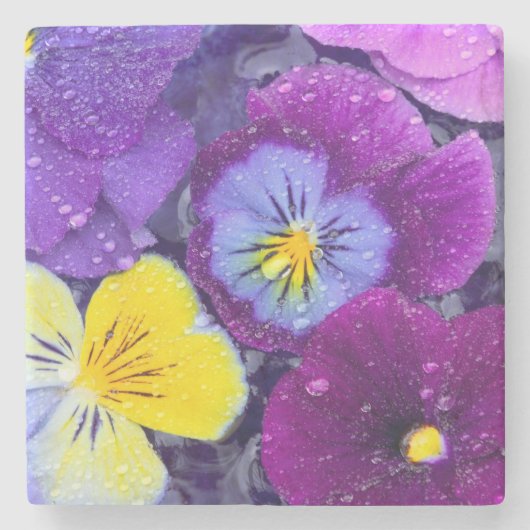鳥の入った水浴び場に浮かぶパンジーの花と露 2 ストーンコースター (正面)