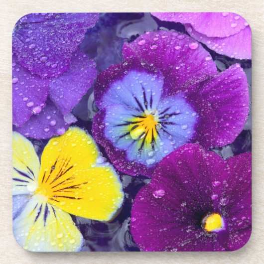 鳥の入った浴槽に浮かぶパンジーの花と露 コースター (正面)