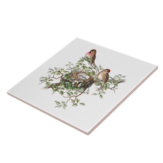 鳥の入れ子の背景 タイル (側面)