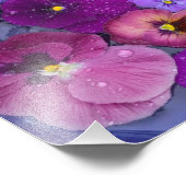 鳥の入浴水に浮かぶパンジーの花と露 フォトプリント (角)