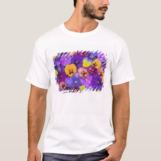 鳥の入浴水に浮かぶパンジーの花と露 Tシャツ (正面)