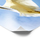 鳥の写真でビーチのカモメを舞う フォトプリント            (角)