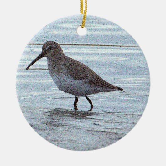 鳥の写真のオーナメント セラミックオーナメント (正面)