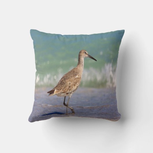 鳥の写真の#18海岸の鳥 クッション (裏面)