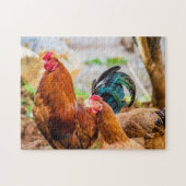 鳥の写真最高の野生動物の写真 ジグソーパズル (横)