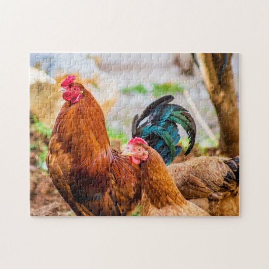 鳥の写真最高の野生動物の写真 ジグソーパズル (横)